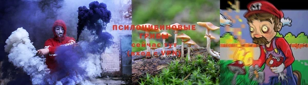 индика Алексеевка