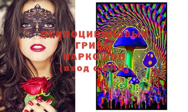 синтетический гашиш Алексин