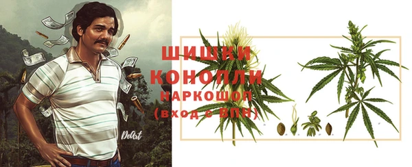 индика Алексеевка