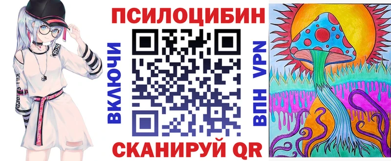 Псилоцибиновые грибы Psilocybe  Арзамас 