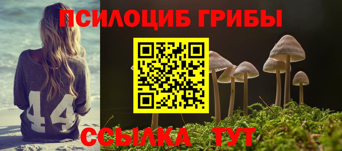 Галлюциногенные грибы Psilocybine cubensis Арзамас