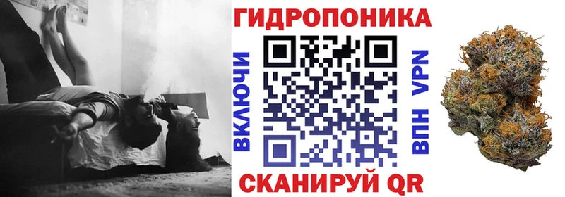 Каннабис ГИДРОПОН Арзамас
